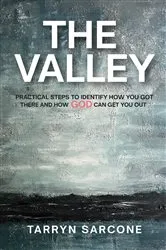 Book cover of The Valley by A.M. Linden