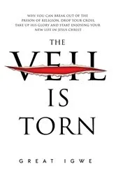 Book cover of The Veil is Torn by Igwe
