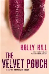 Book cover of The Velvet Pouch by Holly Hill
