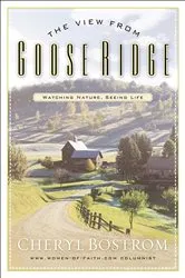 Book cover of The View from Goose Ridge by Cheryl Bostrom