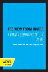 Book cover of The View from Inside by Jane Jenson