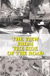 Book cover of The View from the Side of the Road by LeuAnna Taylor