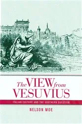 Book cover of The View from Vesuvius by Nelson J. Moe