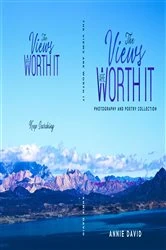 Book cover of The Views Are Worth It by Annie David