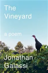 Book cover of The Vineyard by Barbara Delinsky
