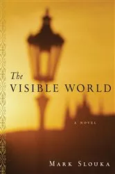 Book cover of The Visible World by Thijs Weststeijn