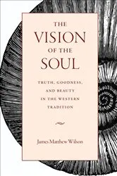 Book cover of The Vision of the Soul by James Matthew Wilson