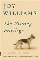 Book cover of The Visiting Privilege by Joy Williams