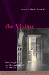 Book cover of The Visitor by Lori Wick