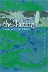 Book cover of The Waiting by Michael Connelly