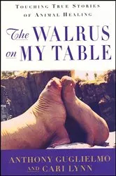 Book cover of The Walrus on My Table by Anthony Guglielmo