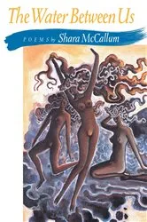 Book cover of The Water Between Us by Shara McCallum