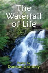 Book cover of The Waterfall of Life by Damian Cranney