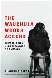 Book cover of The Wauchula Woods Accord by Charles Siebert