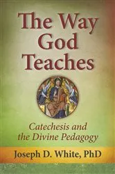 Book cover of The Way God Teaches by PhD Joseph D. White