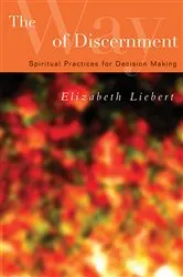 Book cover of The Way of Discernment by Elizabeth Liebert
