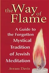 Book cover of The Way of Flame by Avram Davis