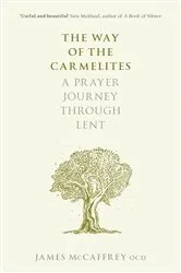 Book cover of The Way of the Carmelites by James McCaffrey
