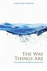 Book cover of The Way Things Are by Lama Ole Nydahl