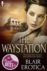 Book cover of The Waystation by Blair Erotica