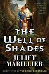 Book cover of The Well of Shades by Juliet Marillier