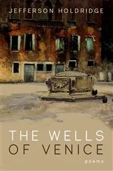 Book cover of The Wells of Venice by Jefferson Holdridge