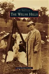Book cover of The Welsh Hills by Janet Philipps Procida