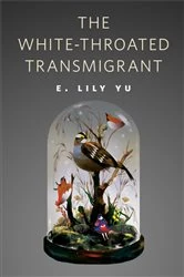 Book cover of The White-Throated Transmigrant by E. Lily Yu