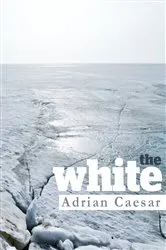 Book cover of The White by Unknown