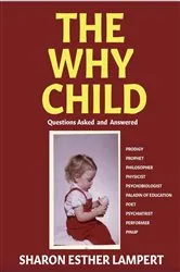 Book cover of THE WHY CHILD by Sharon Esther Lampert