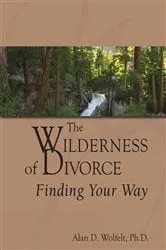 Book cover of The Wilderness of Divorce by Alan D Wolfelt