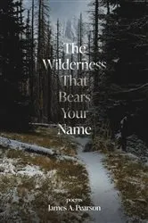 Book cover of The Wilderness That Bears Your Name by James A Pearson