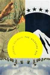 Book cover of The Wilshire Sun by Joshua Baldwin