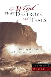 Book cover of The Wind That Destroys and Heals by Stephen E. Broyles