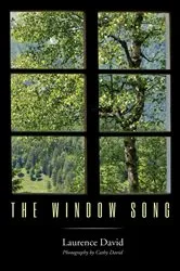 Book cover of The Window Song by Laurence David