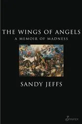 Book cover of The Wings of Angels by Sandy Jeffs