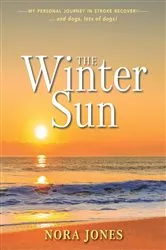 Book cover of The Winter Sun by Nora Jones
