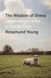 Book cover of The Wisdom of Sheep by Rosamund Young