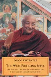 Book cover of The Wish-Fulfilling Jewel by Dilgo Khyentse