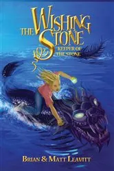 Book cover of The Wishing Stone by Brian R Leavitt