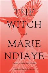 Book cover of The Witch by J Risk