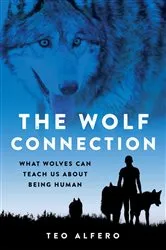 Book cover of The Wolf Connection by Teo Alfero