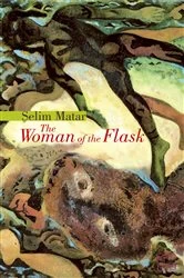 Book cover of The Woman of the Flask by Salim Matar