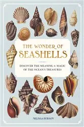 Book cover of The Wonder of Seashells by Melissa Hobson