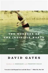 Book cover of The Wonders of the Invisible World by Unknown