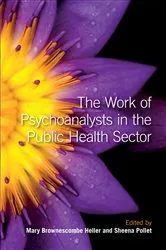 Book cover of The Work of Psychoanalysts in the Public Health Sector by Mary Brownescombe Heller