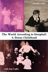 Book cover of The World According to Stoopball by Joseph Callo