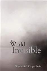 Book cover of The World Invisible by Shulamith Oppenheim