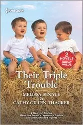 Book cover of Their Triple Trouble by Melissa Senate