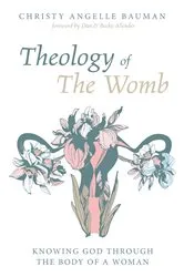 Book cover of Theology of The Womb by Christy Angelle Bauman